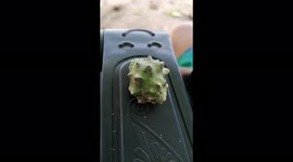 This little seashell was so adorable