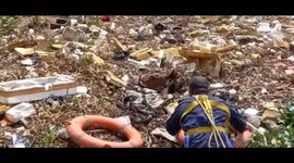 Rescuer risks his life to save horse stuck in toxic garbage swamp in western India