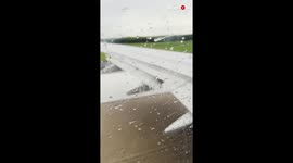 'Flying to Puerto Rico after 3 Years to Surprise Parents *Emotional*'