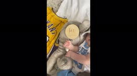 Basketball baby and frenchie is sleeping adorably