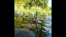 Beautiful river wave with beautiful morning and nature view