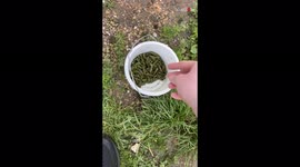 'Wedding Proposal at the Farm Goes Terribly Wrong | Try Not to Laugh'