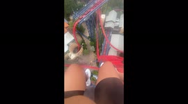 Would you dare to ride this CRAZY rollercoaster?