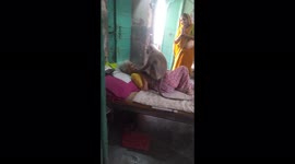 Touching moment wild monkey enters home and HUGS frail 90-year-old woman