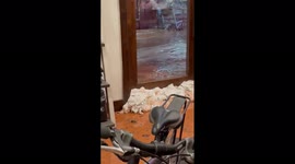Massive flash flood hits near Zion National Park in Utah