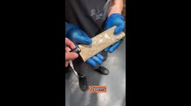 Raythesharpener fixed colleague’s deba part 3