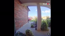 Teenaged boy 'runs for his life' as he is chased by neighbour's tiny dog