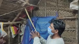 Snake rescuer catches huge cobra on roof of home in southern India