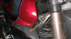 Wild snake found living inside motorcycle in Thailand