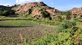 Formaring agriculture working please a human  feald work 4k footage