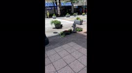 Downtown Atlanta shooting draws SWAT response