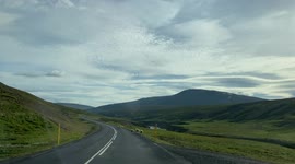 Baby sheep runs along a road with its family, forgets to look where it's going and runs straight into a road marker