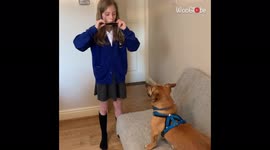 'Bubu the Rescue Dog Sings Along to Harmonica'