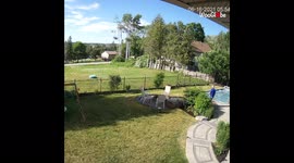 'Canadian Man Slips on Grass While Gardening *Unintentionally Funny* '