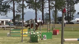 'Horse Girl Goes FLYING After Botched Jump Attempt'