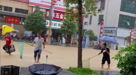 Locals catch fish in roads submerged by floodwater in southern China