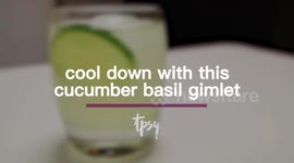 The Perfect Summer Drink! A Cucumber Basil Cocktail