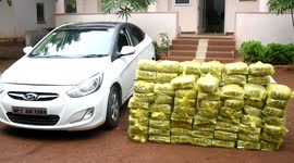 3 arrested for smuggling 277 lbs of cannabis worth $16,855 in southern India