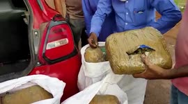Small car groans under weight of 1/3 tonne of marijuana in southern India drug bust
