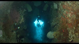 swim through, diving, indonesia, raja ampat, komodo, diver, scuba, reef