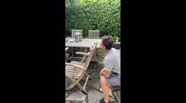 Lucky man spots rare albino squirrel and tries to feed it peanut