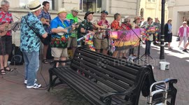Wessex Folk Festival 2-3 June 2018 - Weymouth, England - Mixed footage