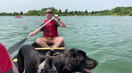 Cute black dog enjoys a canoe ride while a man in a life jacket paddles the canoe on a beautiful summer day in Illinois