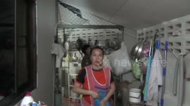 Two monitor lizards found mating in family home