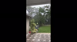 US: Strong Wind Blows As Tropical Storm Elsa Approaches Florida 2