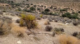 Vertical reveal of dramatic clouds and weather at Red Rock Canyon National Conservation Area