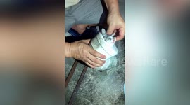 Dog owner cuts open water pipe to rescue kitten trapped inside in southern China