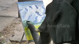 Baby elephant draws pictures which sell for hundreds of pounds