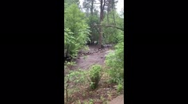 US: Severe Thunderstorm Causes Flash Flood In Lincoln County, NM