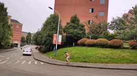 Aggressive bird only attacks male students at college in southwestern China