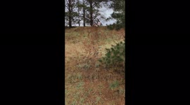 'Sliding Down a Hill in Cardboard Box *Not a Good Idea*
'