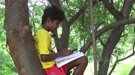 Students in southern India climb trees to get data signal for online learning