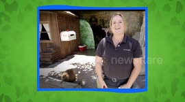 Justine is One Busy Beaver - But Maybe Not for the Reason You Think