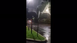 US: Tropical Storm Elsa Batters Western Florida With Heavy Rain And Gusty Winds 3