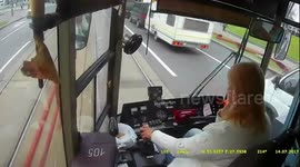 This is what happens when cars get in the way of trams in Belarus