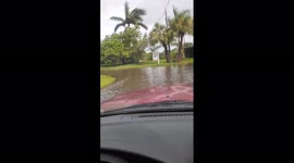 US: Tropical Storm Elsa Makes Landfall Leaving Flooding In Florida’s Gulf Coast