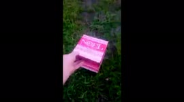 Be Free Little Bird, Be Free! (Releasing the little bird that knocked itself out on my window)