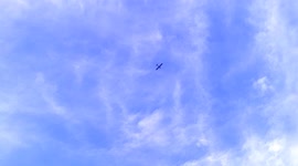 A small engine plane flies over.
