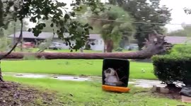 US: Tornado Spawned By Elsa Hits Northeastern Florida 2