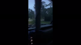US: Tornado Hits Kings Bay Base In Georgia 2