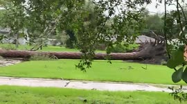 Tornado spawned by Tropical Storm Elsa barrels through Florida