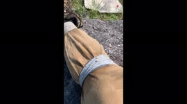 TikToker shares handy tip that stops ticks from crawling up his legs