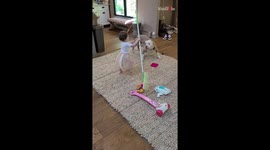 'Cute Toddler and Pitbull Act Like Siblings '
