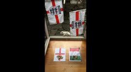 Super rare Albino Squirrel predicts Winners of UEFA Euro Cup Final 2020 England V Italy Part 2