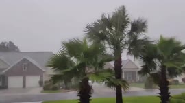 Tropical Storm Elsa batters South Carolina