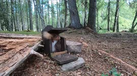 Two funny young red squirrel siblings squeeze themselves into the feed box.